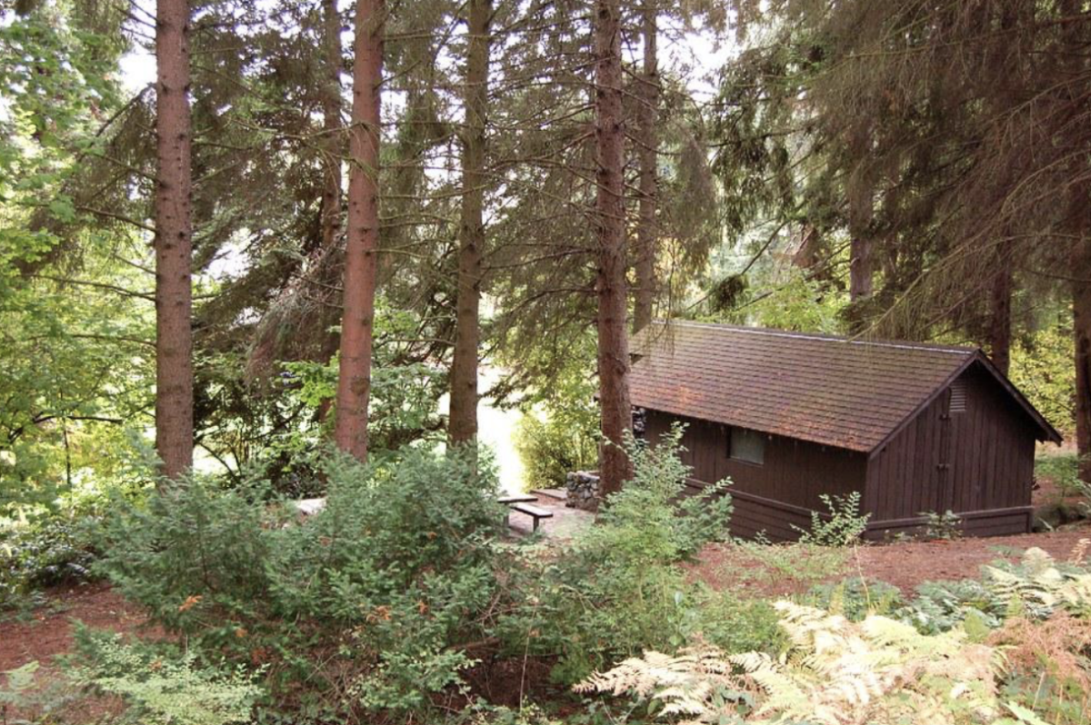 Sleep Away Camp