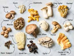 Foraging Foes